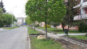 Chodník sídl. Svobody, Prostějov